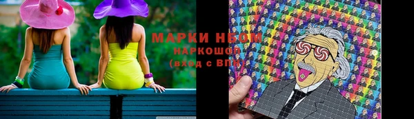 прущие грибы Верхний Тагил